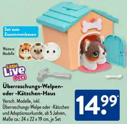 Aldi Süd Überraschungs-Welpen oder Kätzchen-Haus Angebot