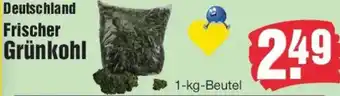 Edeka Deutschland Frischer Grünkohl Angebot