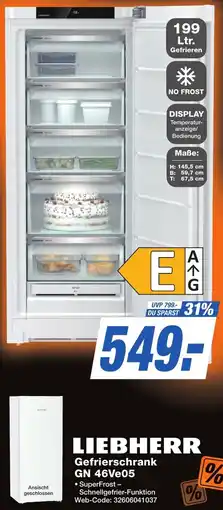 K+B Expert LIEBHERR Gefrierschrank GN 46Ve05 Angebot