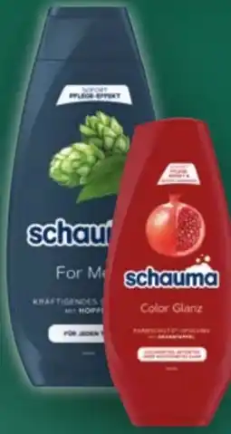 Handelshof Schwarzkopf Schauma Haarpflege Angebot