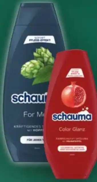 Handelshof Schwarzkopf Schauma Haarpflege Angebot