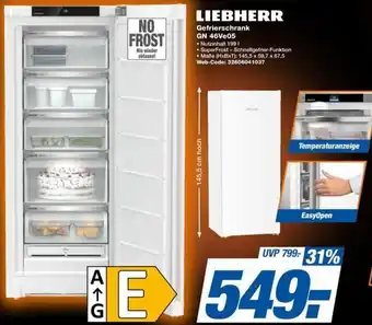 expert Techno Land LIEBHERR Gefrierschrank GN 46Ve05 Angebot