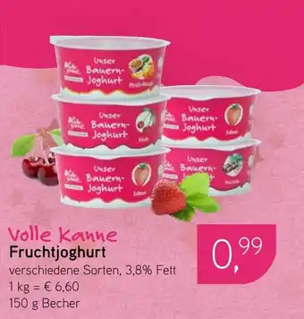 Dornseifer Volle kanne Fruchtjoghurt Angebot