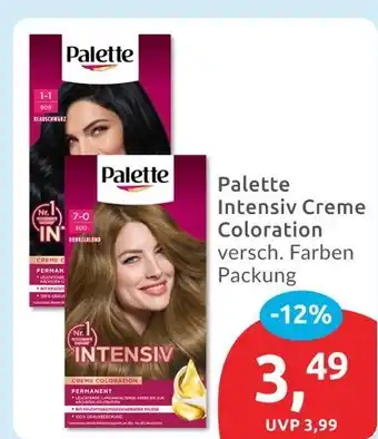 Budni Palette intensiv creme coloration Angebot