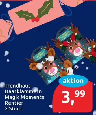 Budni Trendhaus haarklammern magic moments rentier Angebot