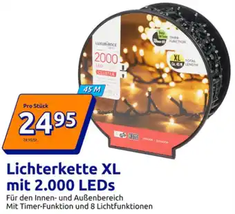 Action Lichterkette XL mit 2.000 LEDS Angebot