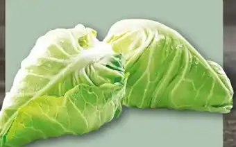 REWE Center Spitzkohl Angebot