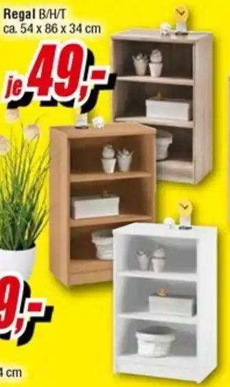 Möbel Turflon Regal Angebot