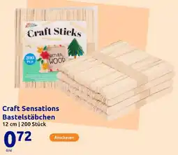 Action Craft Sensations Bastelstäbchen Angebot