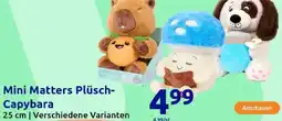 Action Mini Matters Plüsch Capybara Angebot