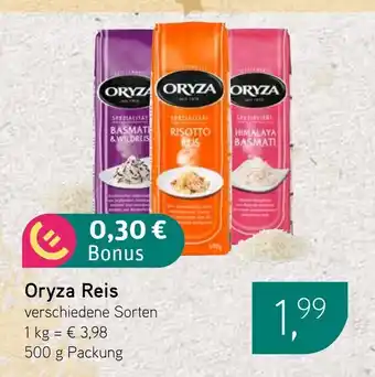 Dornseifer Oryza Reis Angebot