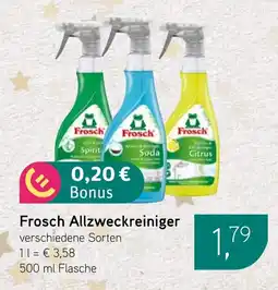 Dornseifer Frosch Allzweckreiniger Angebot