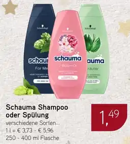 Dornseifer Schauma Shampoo oder Spülung Angebot
