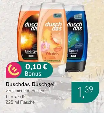 Dornseifer Duschdas Duschgel Angebot