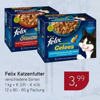 Dornseifer Felix Katzenfutter Angebot