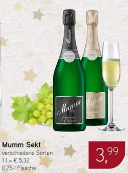 Dornseifer Mumm Sekt Angebot