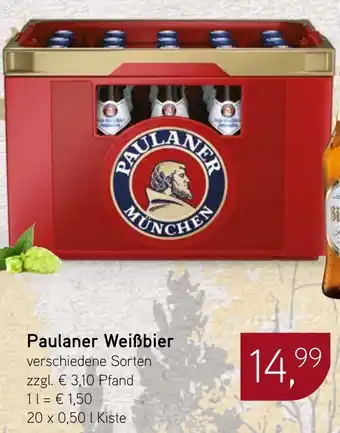 Dornseifer Paulaner Weißbier Angebot