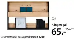 Zurbrüggen Hängeregal Angebot