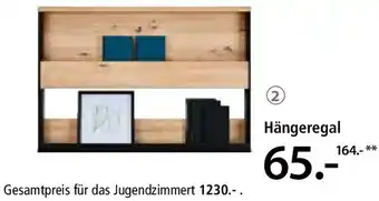 Zurbrüggen Hängeregal Angebot