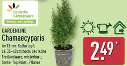Aldi Nord GARDENLINE Chamaecyparis Angebot