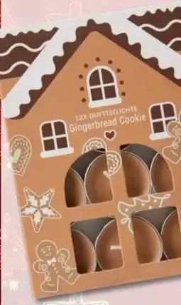 Woolworth Teelicht 12er pack Angebot