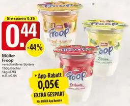 WEZ Müller Froop Angebot