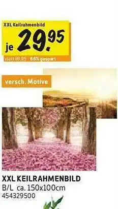 SCONTO XXL Keilrahmenbild Angebot