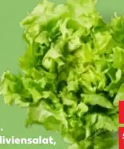 Kaufland Endiviensalat Angebot