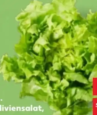 Kaufland Endiviensalat Angebot