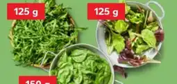 Kaufland Rucola Angebot