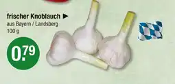 V Markt Frischer knoblauch Angebot