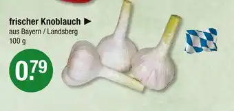 V Markt Frischer knoblauch Angebot