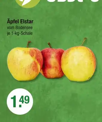 V Markt Äpfel elstar Angebot