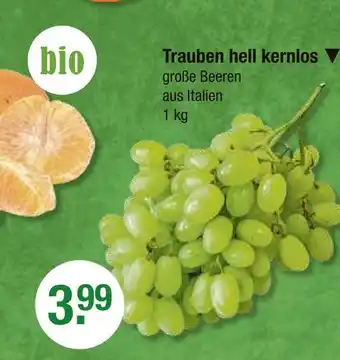 V Markt Trauben hell kernlos Angebot