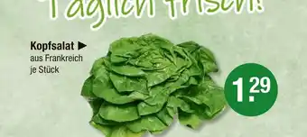 V Markt Kopfsalat Angebot