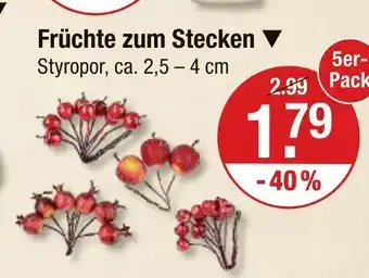 V Markt Früchte zum stecken Angebot
