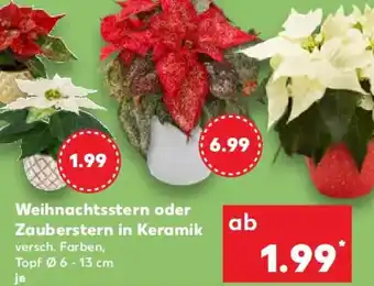Kaufland Weihnachtsstern oder Zauberstern in Keramik Angebot