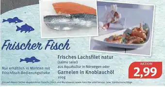 Feneberg Frisches Lachsfilet Natur Oder Garnelen In Knoblauchöl Angebot