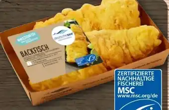 REWE Deutsche See Backfisch Seelachsfilet-Schwanzstücke Angebot