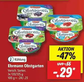 Lidl Ehrmann Obstgarten Angebot