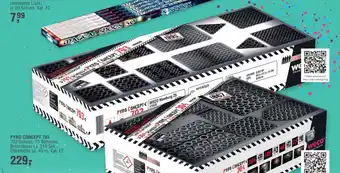 Handelshof weco PYRO CONCEPT 703 Angebot