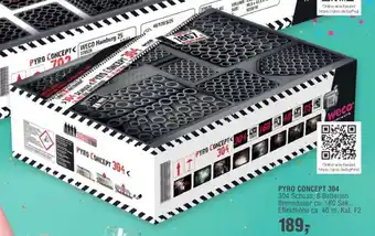 Handelshof weco PYRO CONCEPT 304 Angebot