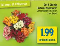 diska Gut & Günstig Fairtrade Moosrosen Angebot