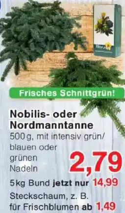 Jawoll Nobilis- oder Nordmanntanne Angebot