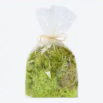 NKD Island Moos, ca. 50 g Angebot