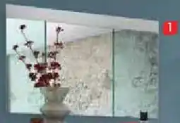 Zurbrüggen Xora Spiegel Angebot