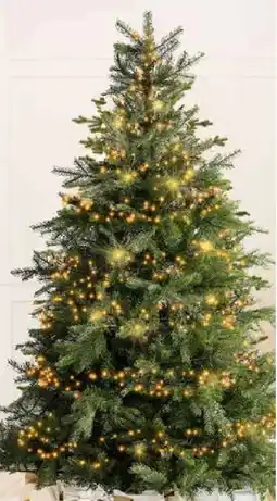 Pflanzen Kölle LED Lichterkette Excellent Angebot