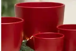 Pflanzen Kölle Übertopf Form 909 Angebot