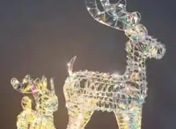 Pflanzen Kölle LED Rentier Angebot