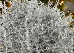 Pflanzen Kölle LED Silberdraht Angebot